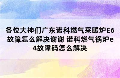 各位大神们广东诺科燃气采暖炉E6故障怎么解决谢谢 诺科燃气锅炉e4故障码怎么解决